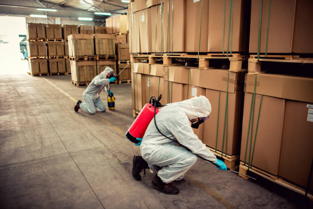 Wildlife Control Services in La Mirada, CA