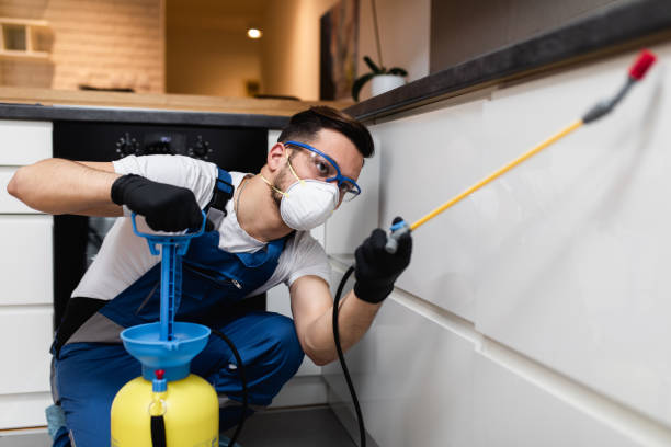 Trusted La Mirada, CA Pest Control Experts