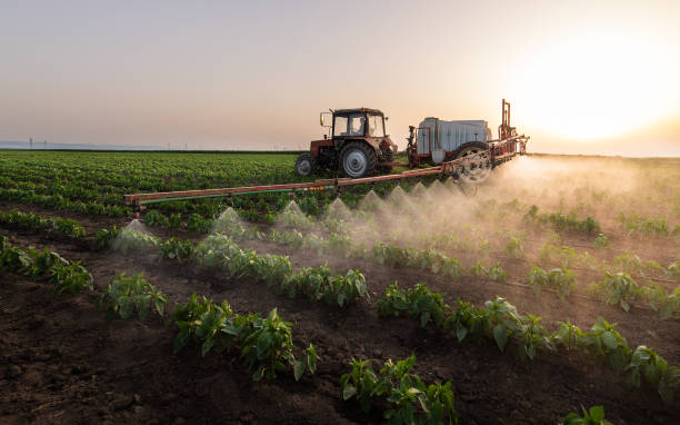 Best Wildlife Control Services  in La Mirada, CA