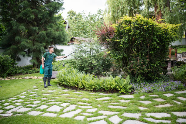 Best Termite Control Services  in La Mirada, CA
