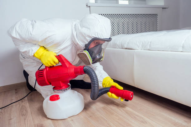 Best Residential Pest Control  in La Mirada, CA