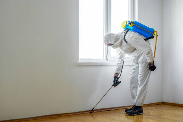 Best Pest Inspection Near Me  in La Mirada, CA