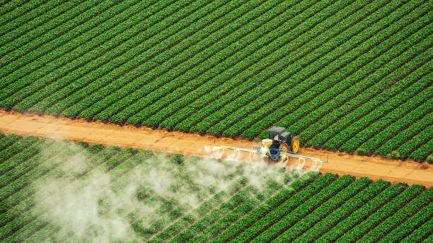Pest Control Cost in La Mirada, CA