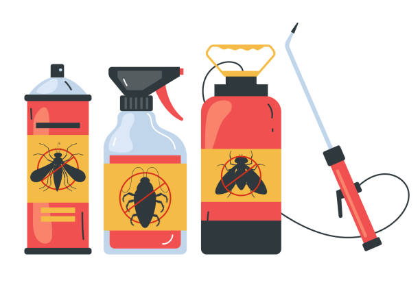 Best Spider Control Near Me  in La Mirada, CA